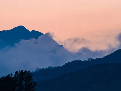 Focussing On Joy With Love And Gratitude