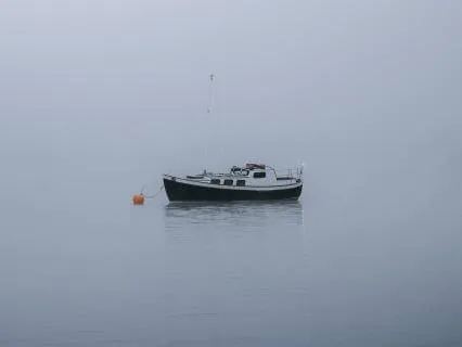 Fog Borrowed The Ocean’s Sweater