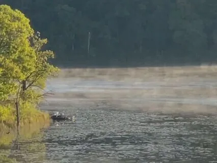 Fog On The Lake