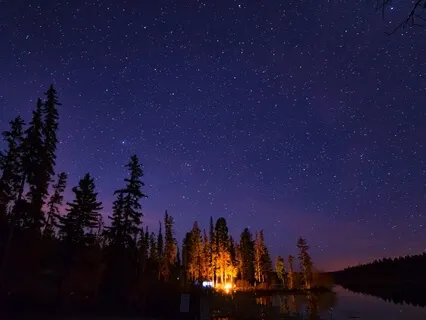 Foggy Night In The Redwoods: A Sleep Story & Meditation