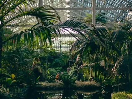 Фокус на Звуках