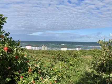 Fokus på åndedrættet i naturen