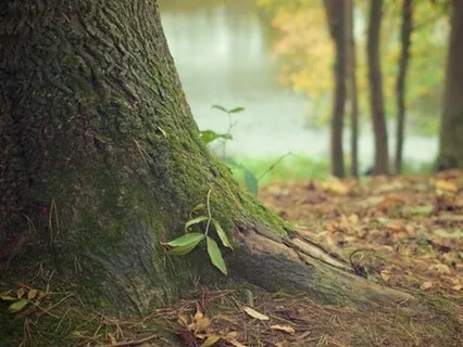 Fokus på tanker - mindfulness meditation