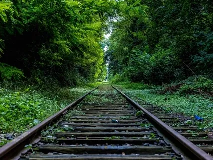 Fokuseret opmærksomhed