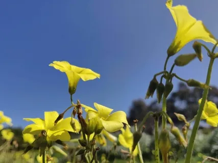 Follow The Breath - Short Guided Mindfulness Meditation