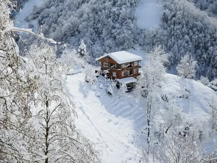 Follow the Guidelines