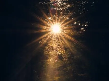 Follow The Lightness