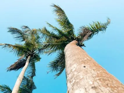 Follow-Up To Engaging The Abhidhamma With Tony Bernhard