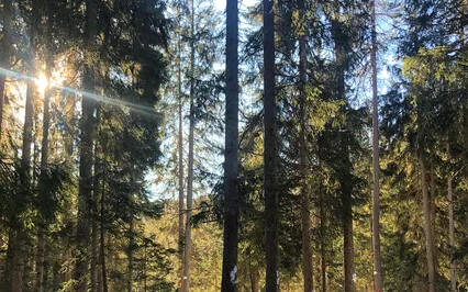 Follow Your Breath Into The Present