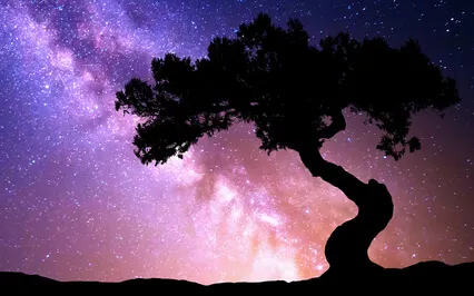 Follow Your Cosmic Heart