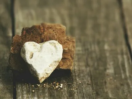 Following A Trail Of Crumbs: Connect To Somatic Intelligence