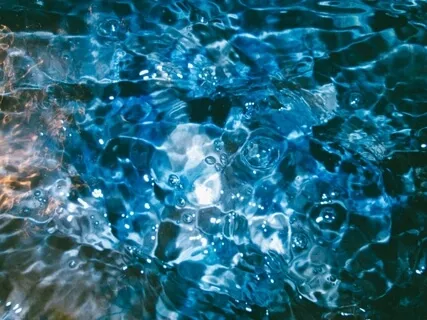 Following The Breath