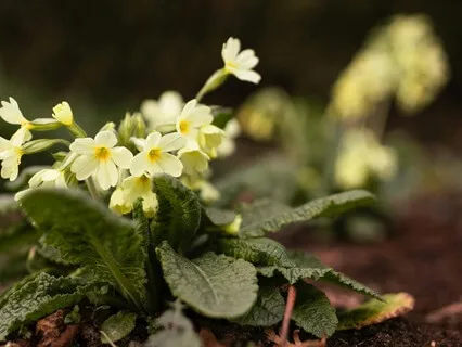 Following Your Inner Compass - February 22