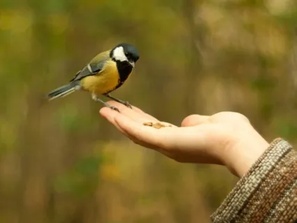 Following Your Intuition EFT Tapping Meditation