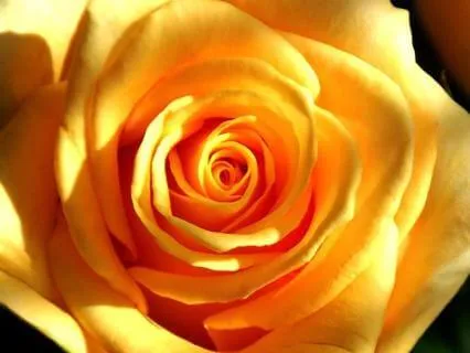 Following Your Light - A Contemplative Reflection