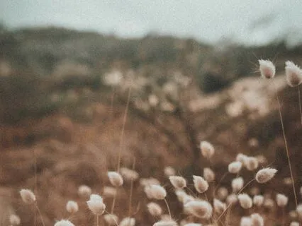 Folowing The Breath, Be One With It