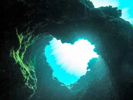 Food Blessing: A Gratitude For The Web Of Life