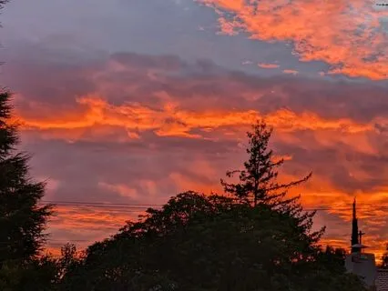 Food, Sustainability, Climate Change And Personal Actions