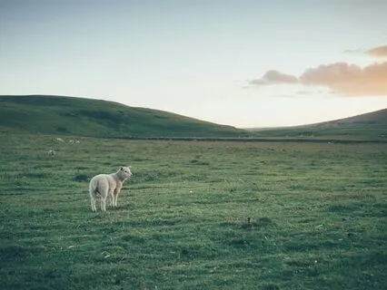 Food Sustains Both The Body And The Soul