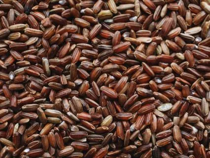 Food That Frees The Mind: Wisdom From Upanisad