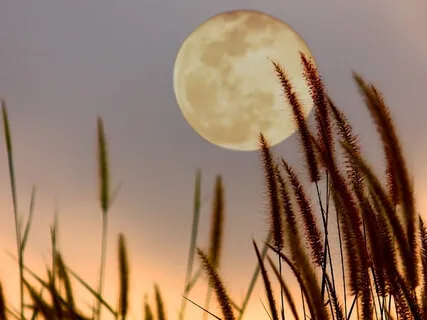 Using Full Moon Energies For Self-Love & Acceptance