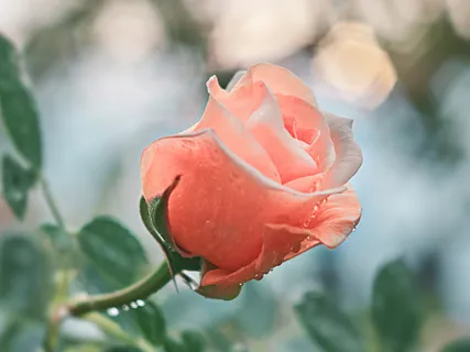 Show How Much You Value Your Partner With The Foot Caress Meditation