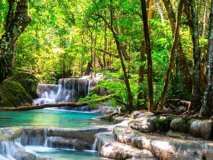 Foot Steps On The Stream, Relaxing Flow Of Water