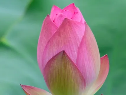 For A Moment Of Stillness At Work