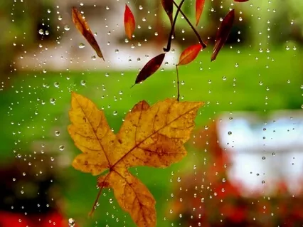 For A Rainy Day (Piano & Cello )