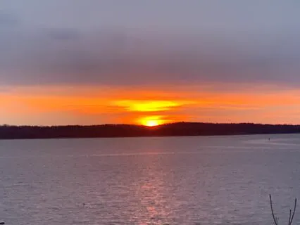 For Activists: Coming Out Of Overwhelm