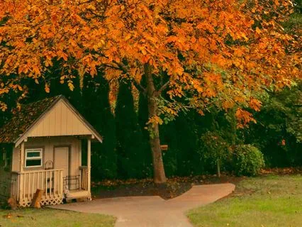 For An Ooey-Gooey Heart Center