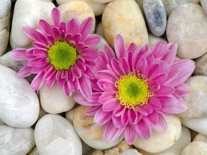 For An Overactive Mind, Stop Thinking, Start Being