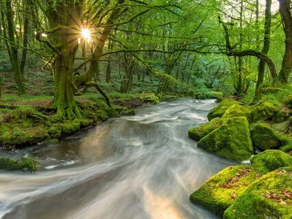 For Anxiety, Clear Mind, Heal Body, Renew Spirit