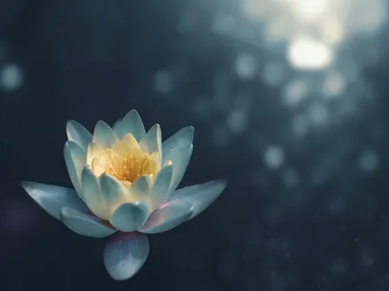 Focus On The Breath For Beginners