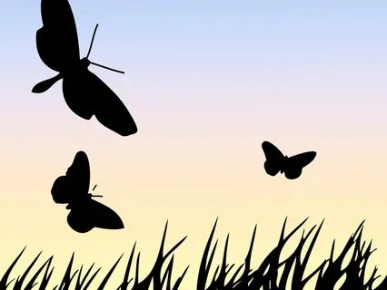 For Children: Fly like a Bird