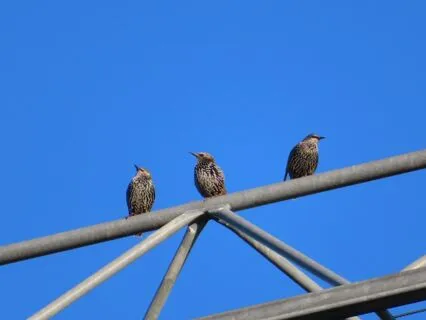 For City People (Talk, With Music And Mantra)