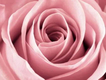 For Couples: Creating A Deeper Connection