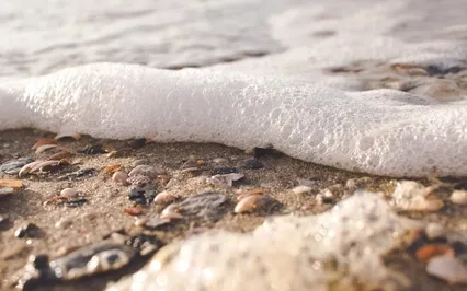 For Empaths: Sacred Shamanic Journey