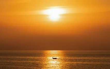 For Joy, Peace & Purpose