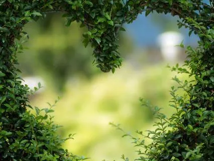 For Negative Thought: I Have Tried This Before & Failed