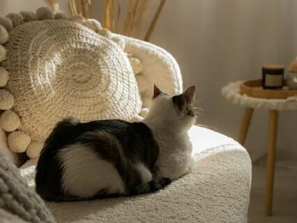 For Now I Have Done Enough: Affirmation Meditation