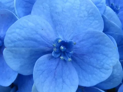 For Parenting Overwhelm