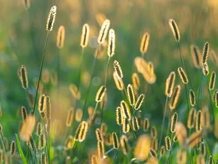 For Positive Energy, Peace & Light