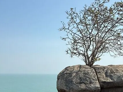 For Relaxation, Strength, And Mental Clarity