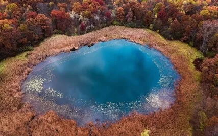 For Teens: Forest Pool Visualisation