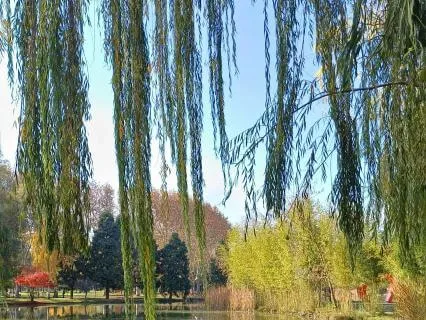 For The Brokenhearted: A Prayer