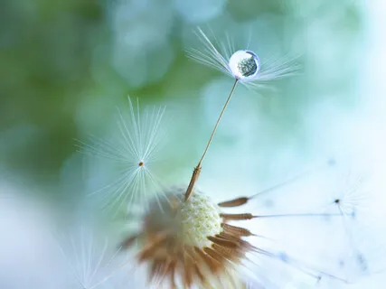 For The Days There Is Darkness