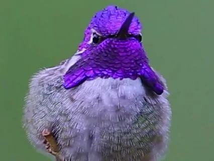 For When Life Feels Heavy: An Uplifting Message