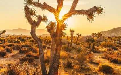 For When You Are Feeling Antsy But You Don't Want To Be!