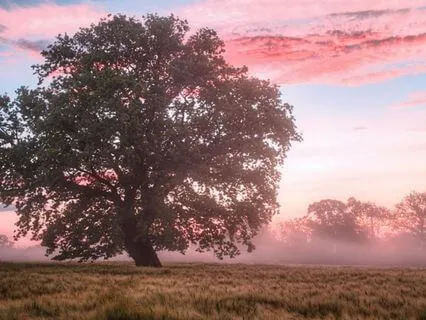 For When You Are In Pain